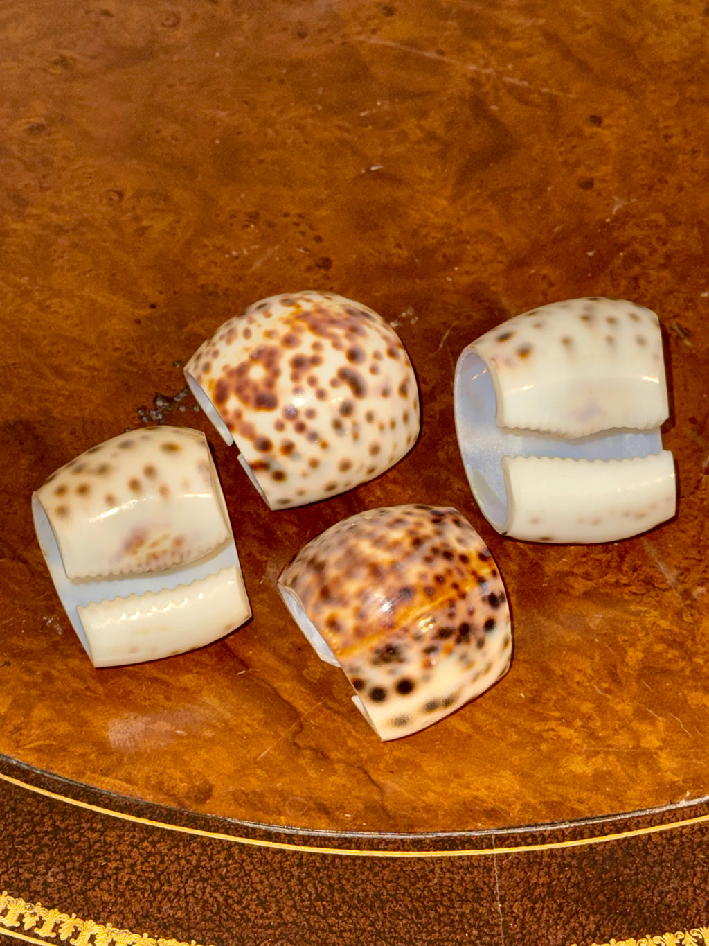 Vintage Tiger Cowrie Napkin Rings Set of 4