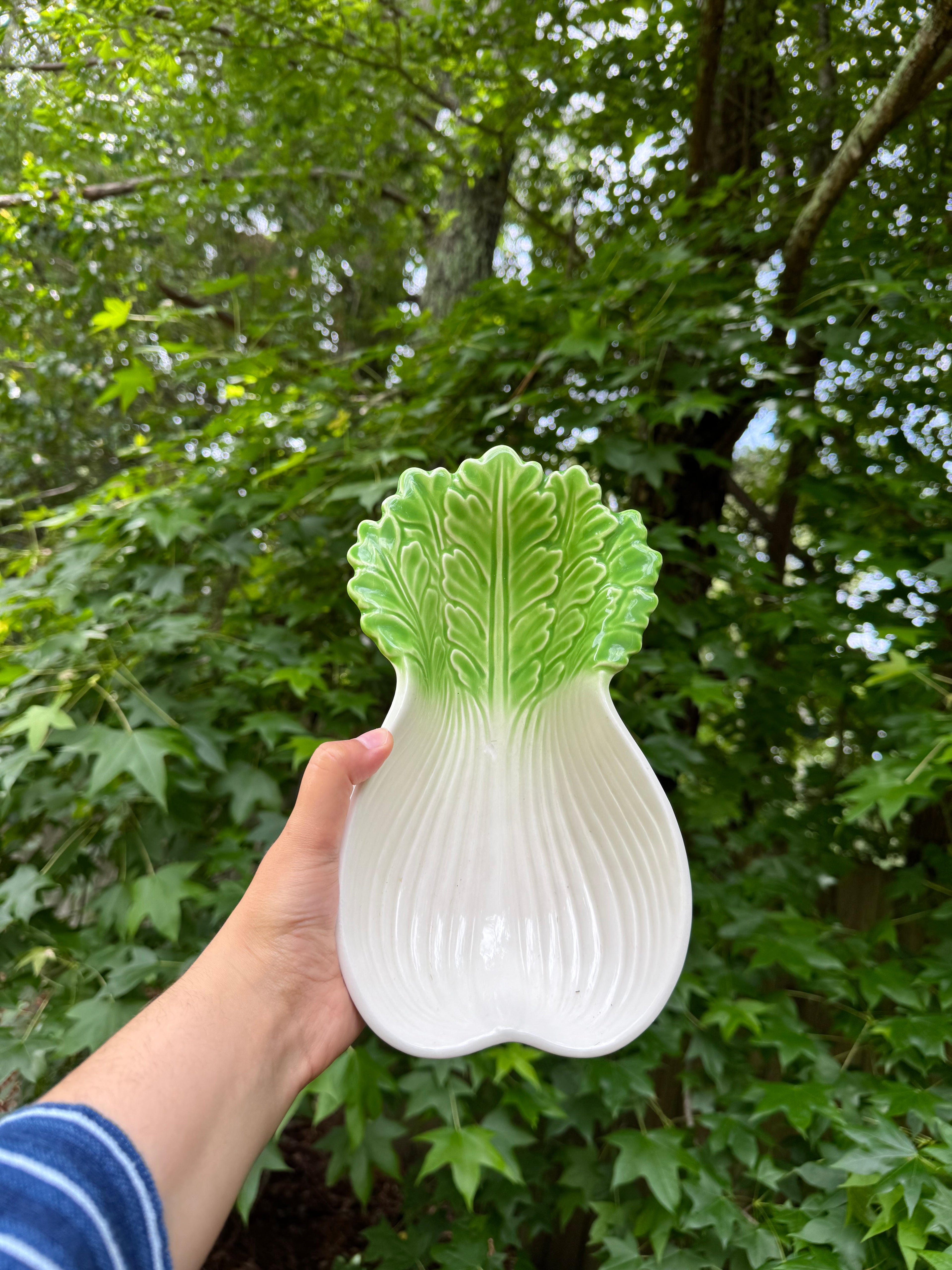 Vintage Ceramic Vegetable Serving Bowls Carrot Bok Choy