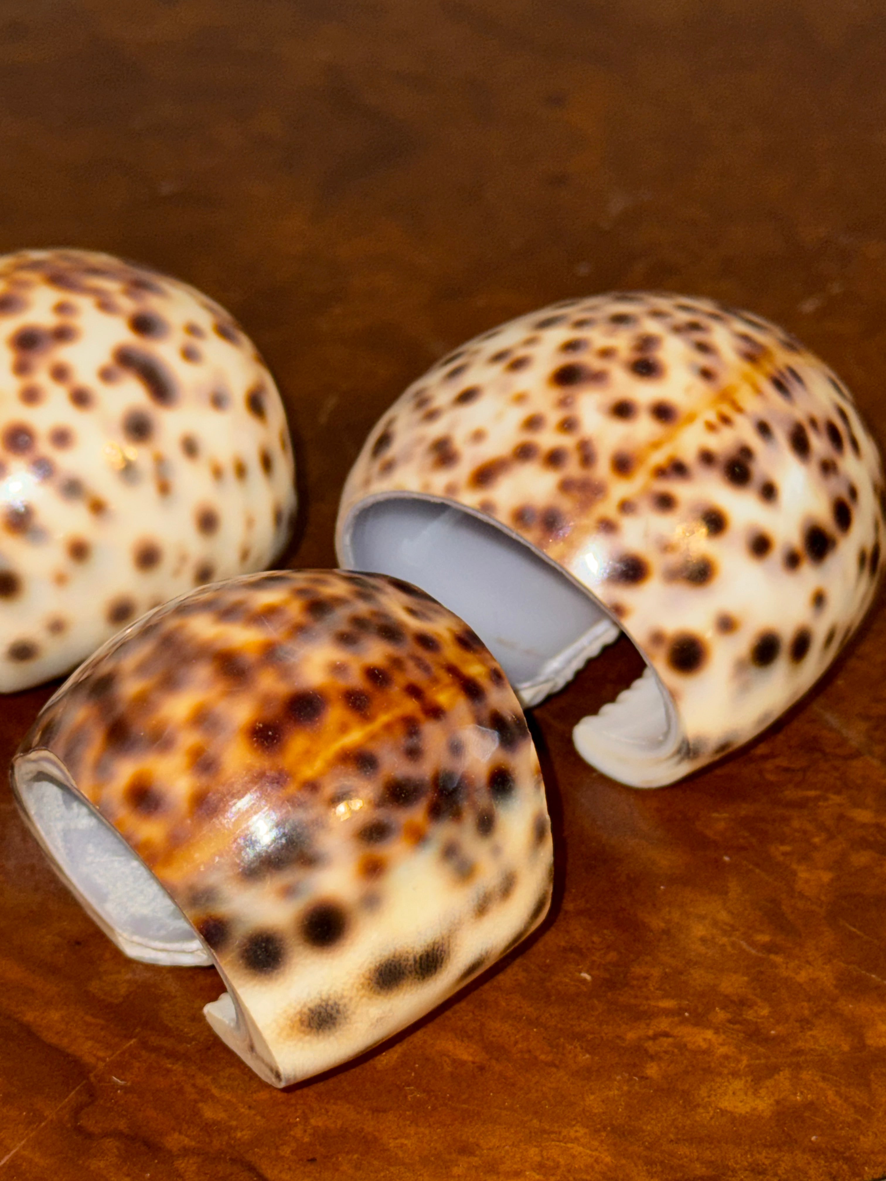 Vintage Tiger Cowrie Napkin Rings Set of 4