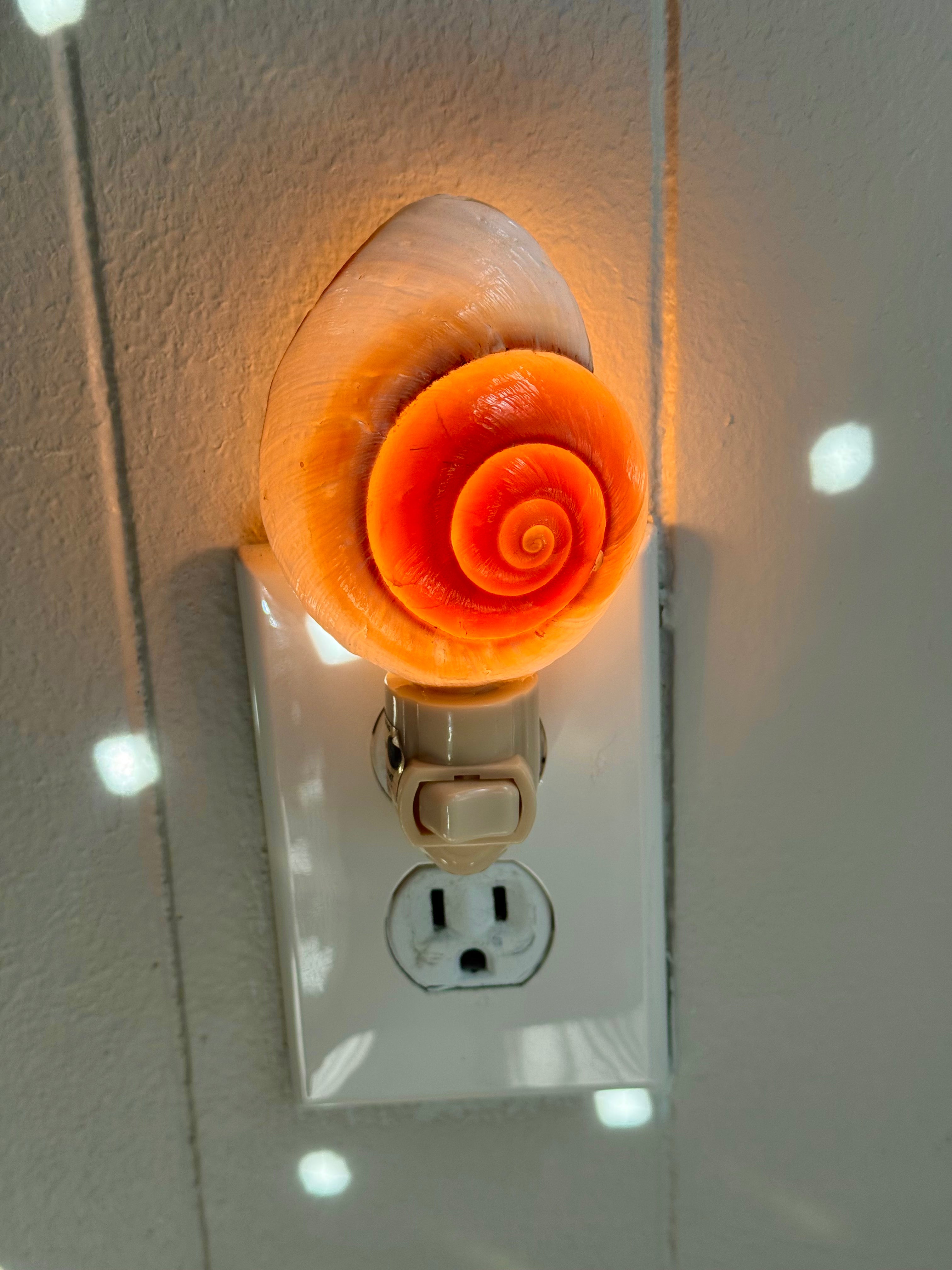 Sea Shell Snail Night Light 🐚