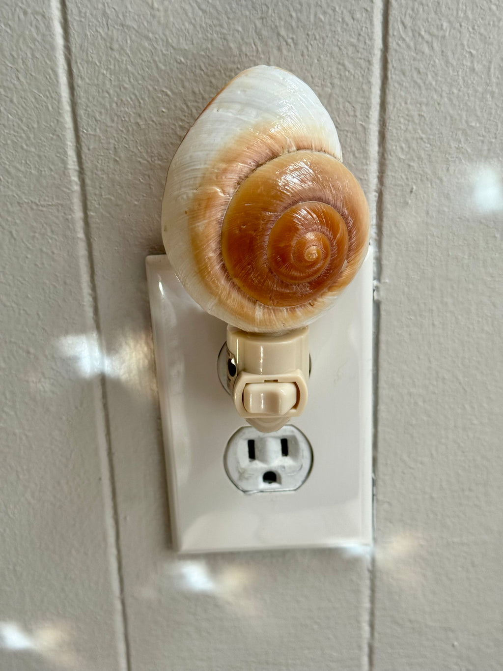 Sea Shell Snail Night Light 🐚