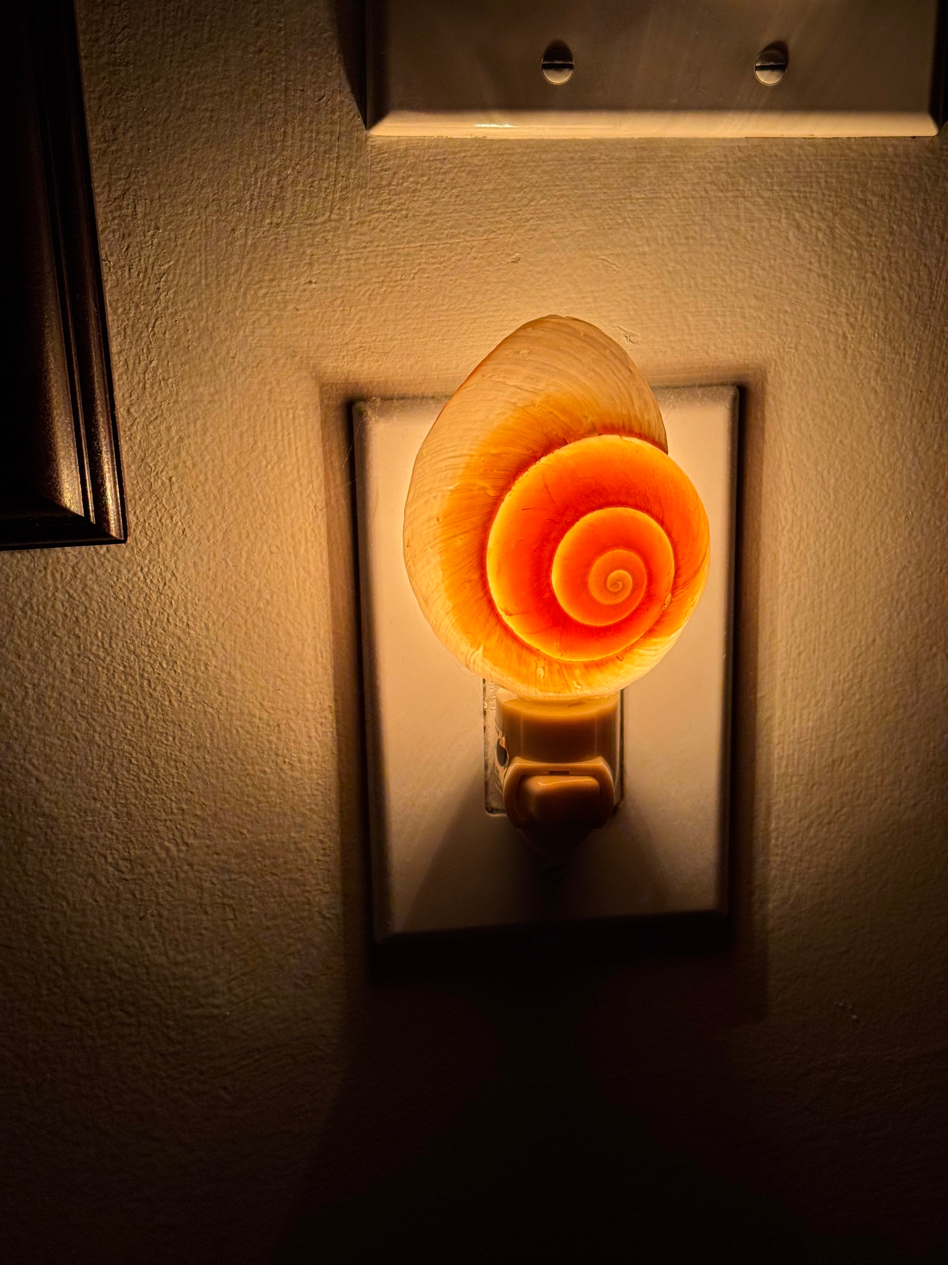 Sea Shell Snail Night Light 🐚